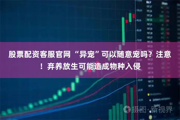 股票配资客服官网 “异宠”可以随意宠吗？注意！弃养放生可能造成物种入侵