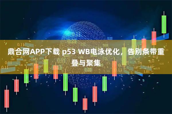 鼎合网APP下载 p53 WB电泳优化，告别条带重叠与聚集