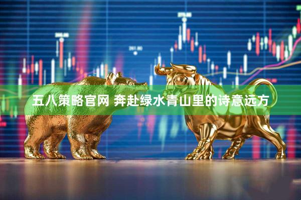 五八策略官网 奔赴绿水青山里的诗意远方